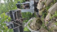 IMG_20240607_161341 (576x1024).jpg